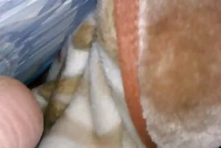 महिला हिंदी सेक्सी फिल्म मूवी कार्यालय में कराह रही है, जब वह बकवास द्वारा प्रवेश कर जाता है