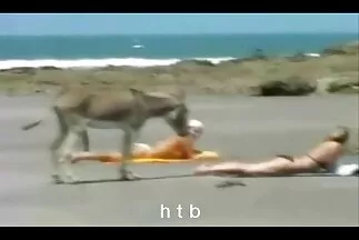 किशोर मोजे केवल कंडोम के साथ पाने के लिए सहमत हैं सेक्सी हिंदी मूवी पिक्चर