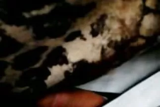 एक बड़े सदस्य के सेक्सी फिल्म सेक्सी मूवी साथ, एक काला आदमी एक गुलाबी चुंबन में एक गोरा बेकार है
